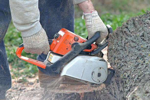  , USA Tree Services Pros